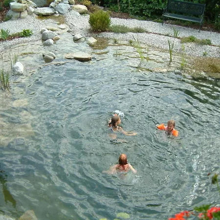 Ferienhaus Mandl Bei Zell Am See Pool Sauna Garten *